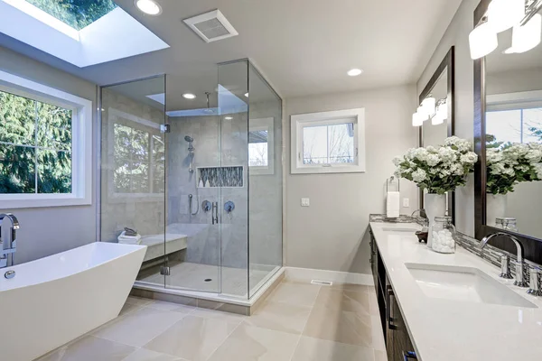 Frosted glass shower enclosure with brushed nickel hardware